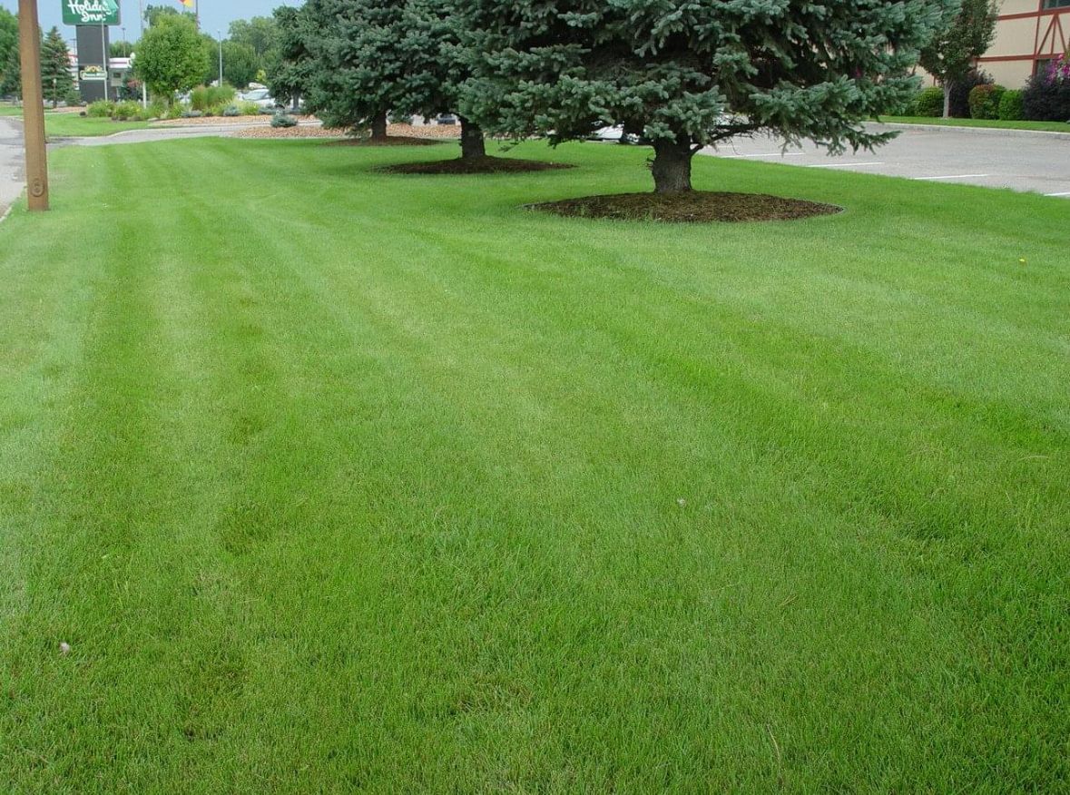 Clean Green Lawn — Hutchinson, MN — Green Earth Lawn Care