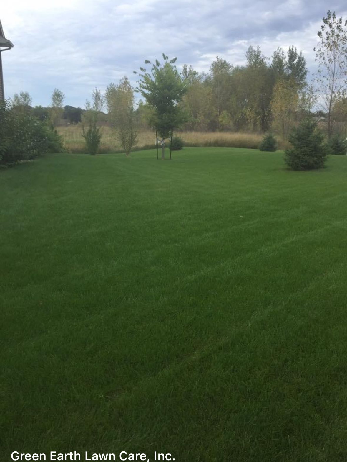 Lawn With Tall Grass — Hutchinson, MN — Green Earth Lawn Care