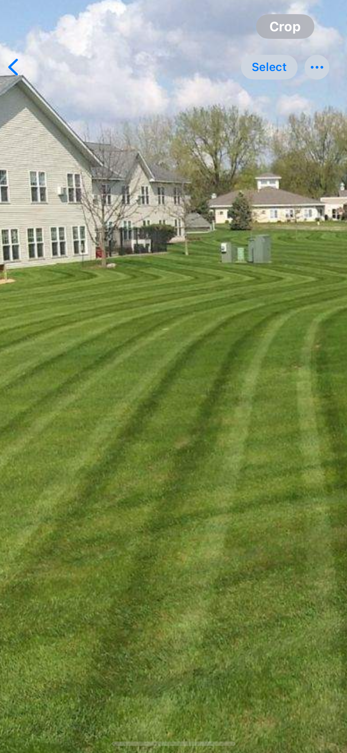 Green Lawn Near The Road — Hutchinson, MN — Green Earth Lawn Care