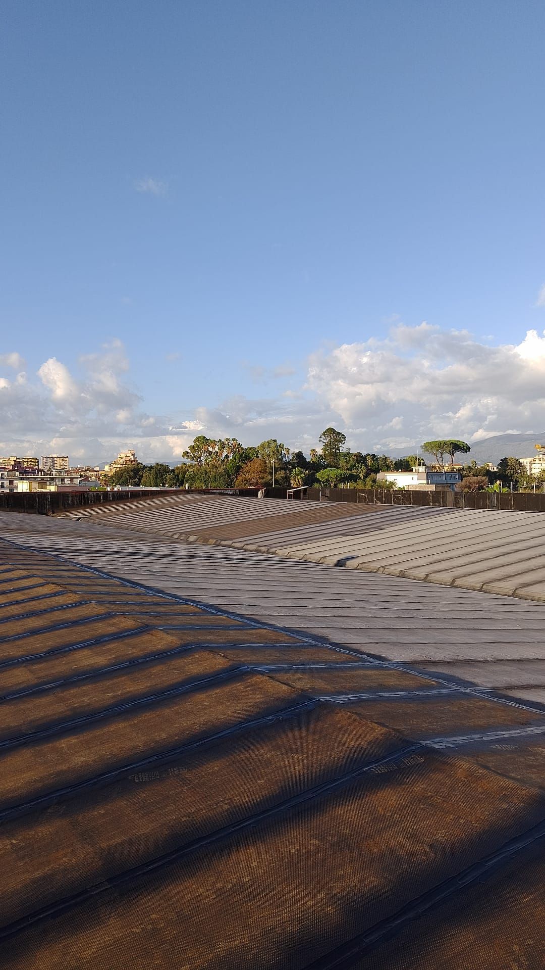 Un grande parcheggio vuoto con cielo azzurro e alberi sullo sfondo.