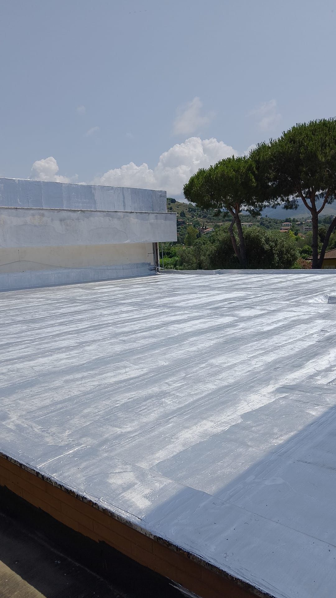 Un tetto con alberi sullo sfondo e un cielo azzurro sullo sfondo.