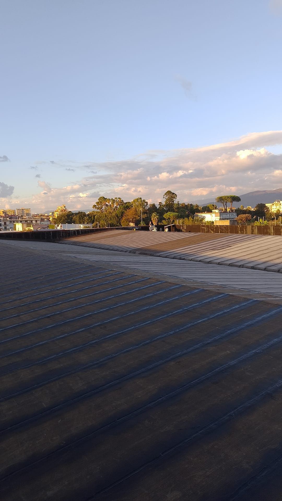 Un grande campo vuoto con cielo azzurro e alberi sullo sfondo.