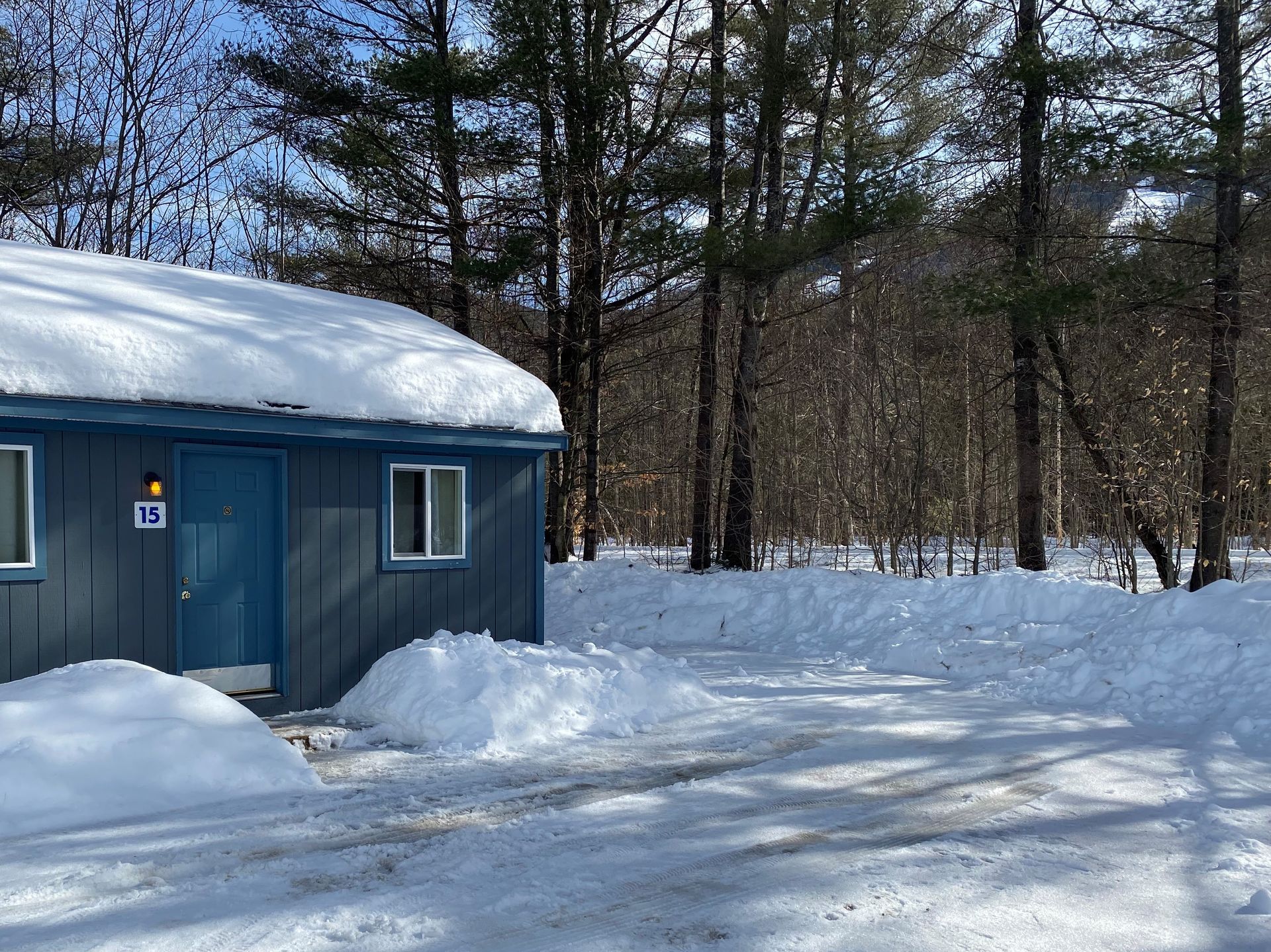 A blue house with snow on the roof is surrounded by snow covered trees.