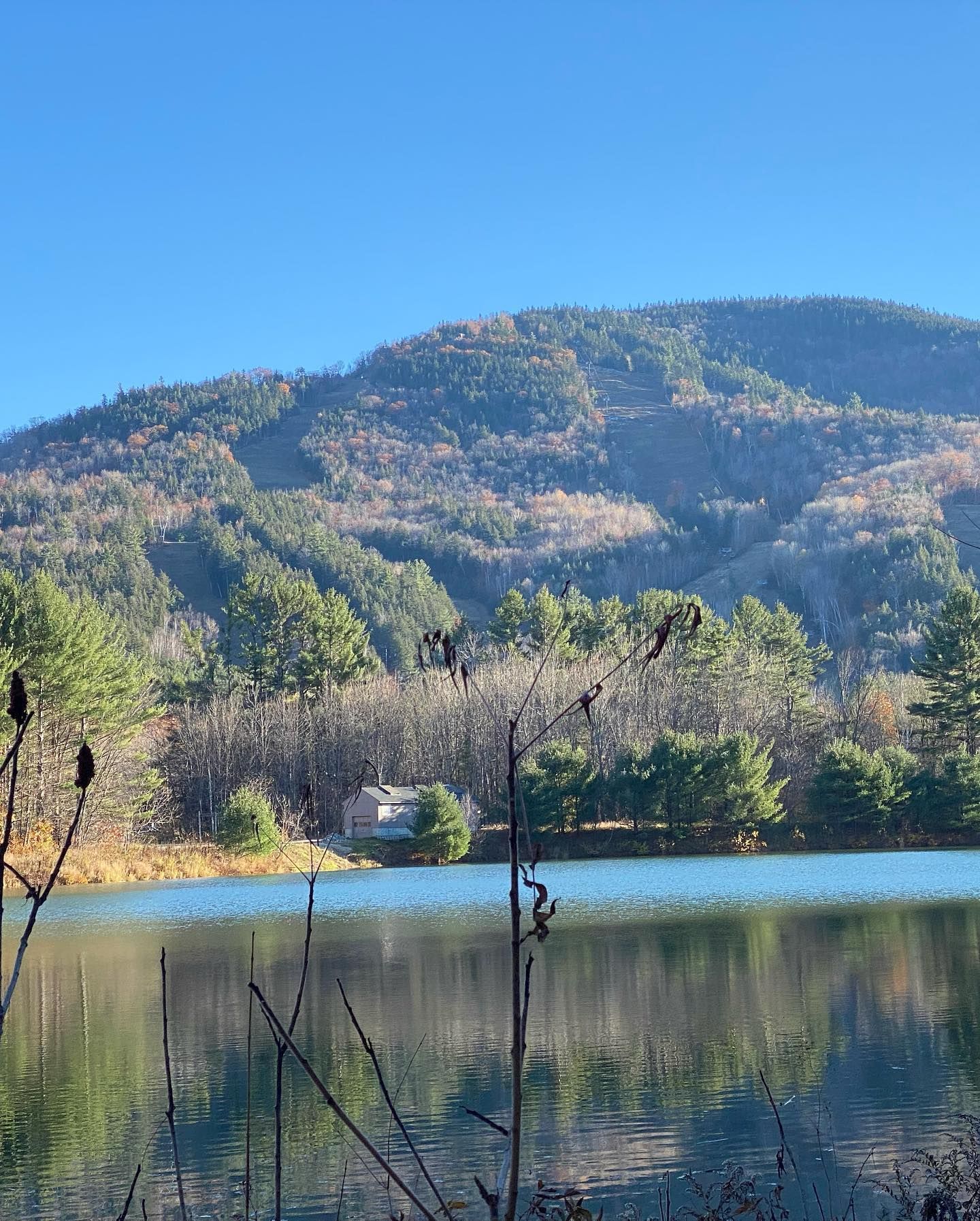 A lake with mountains in the background and trees on the shore.