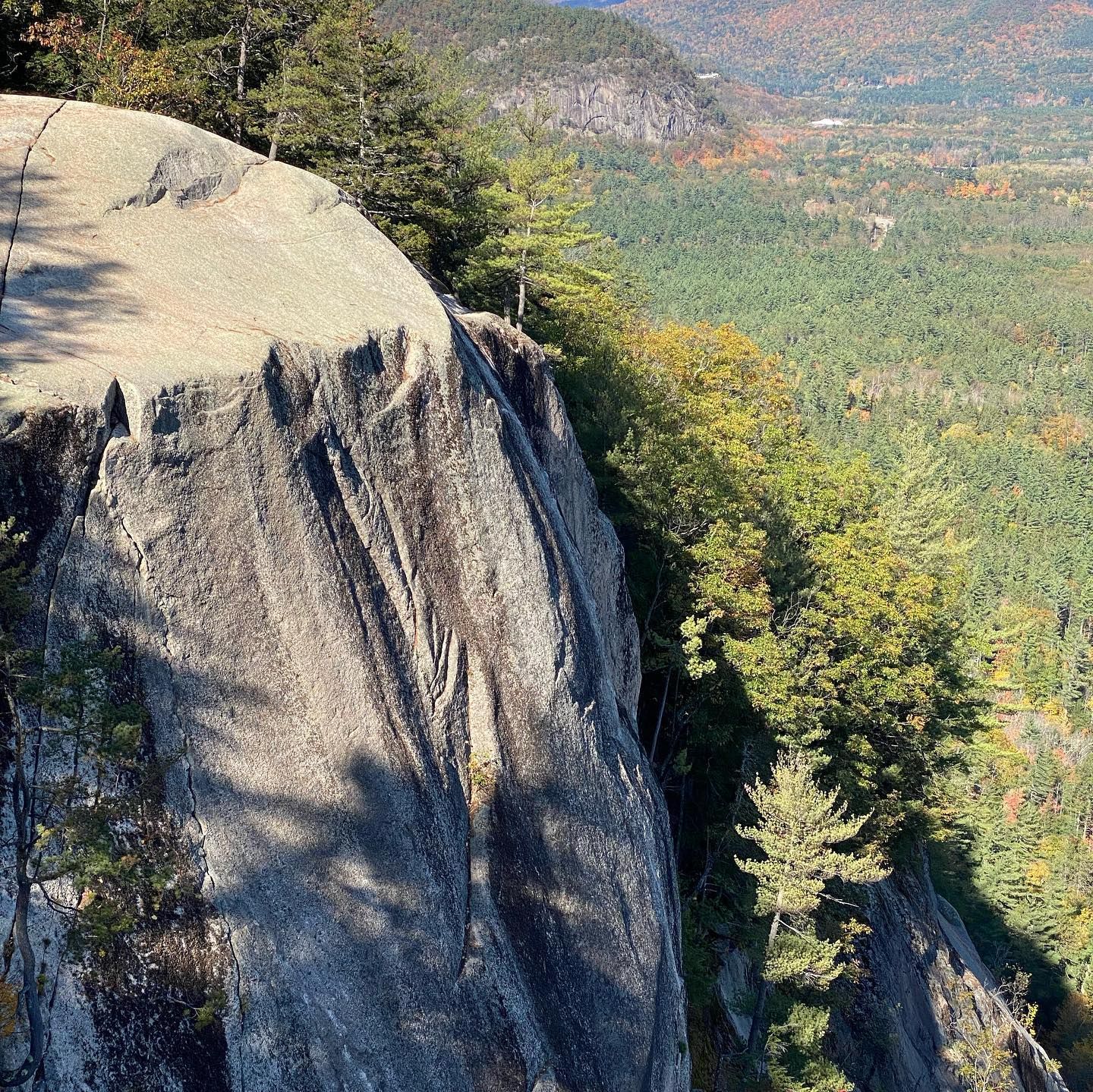 A cliff with trees on the side of it