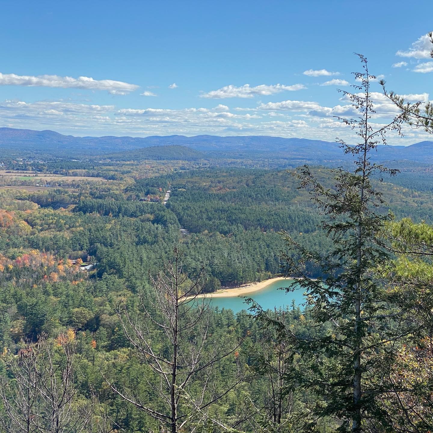 A view of a lake in the middle of a forest with mountains in the background.