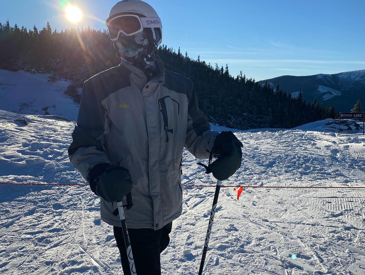 A person wearing a helmet and goggles is standing in the snow holding ski poles.