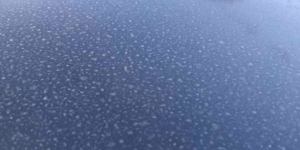 Water beading on a car that has a ceramic coating.