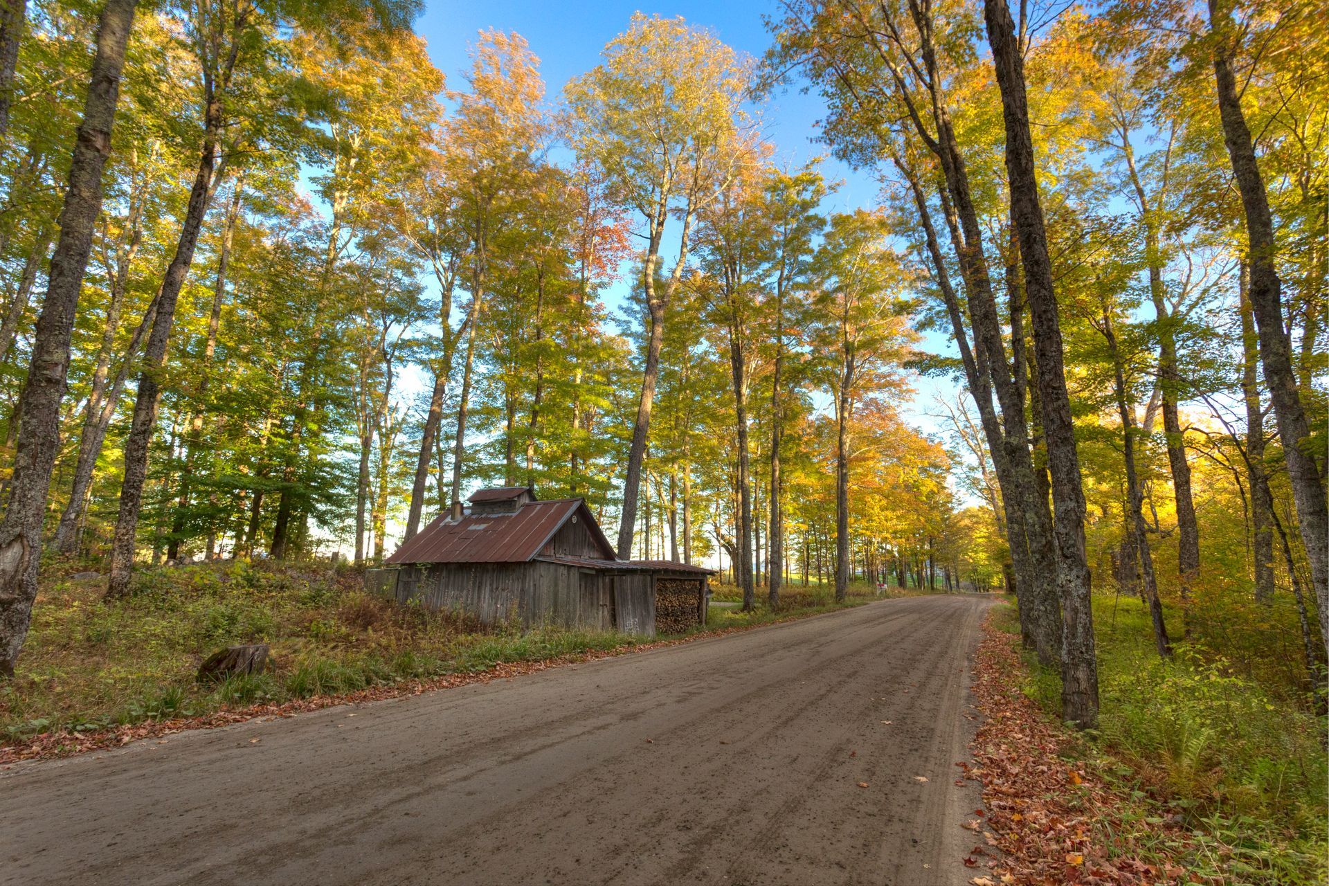 Photo by Nate Somers Photo of a dirt road in the woods of Vermont by Nate Somers