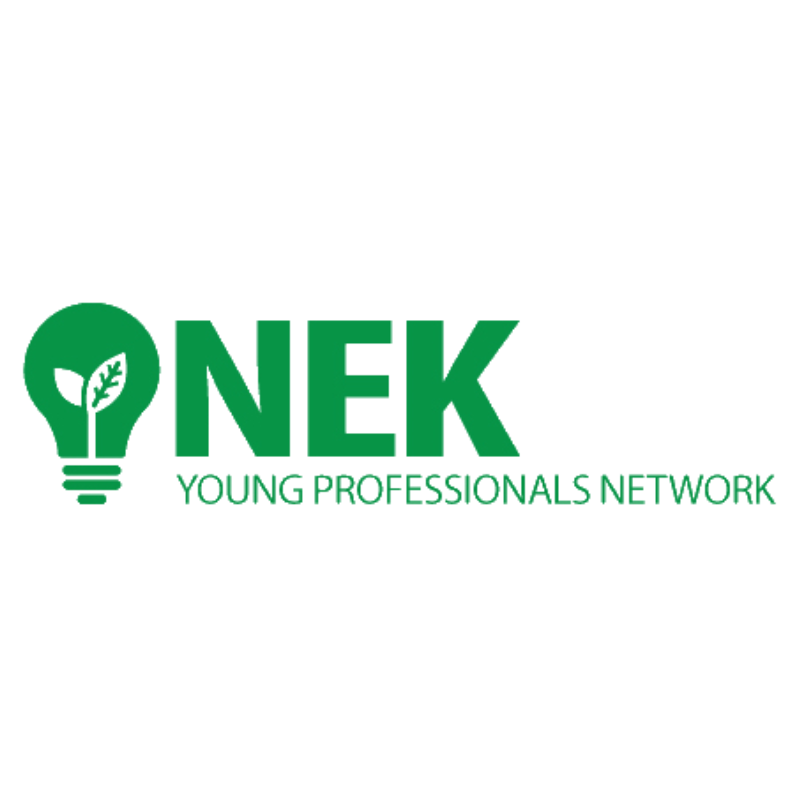 NEK Young Professionals Network