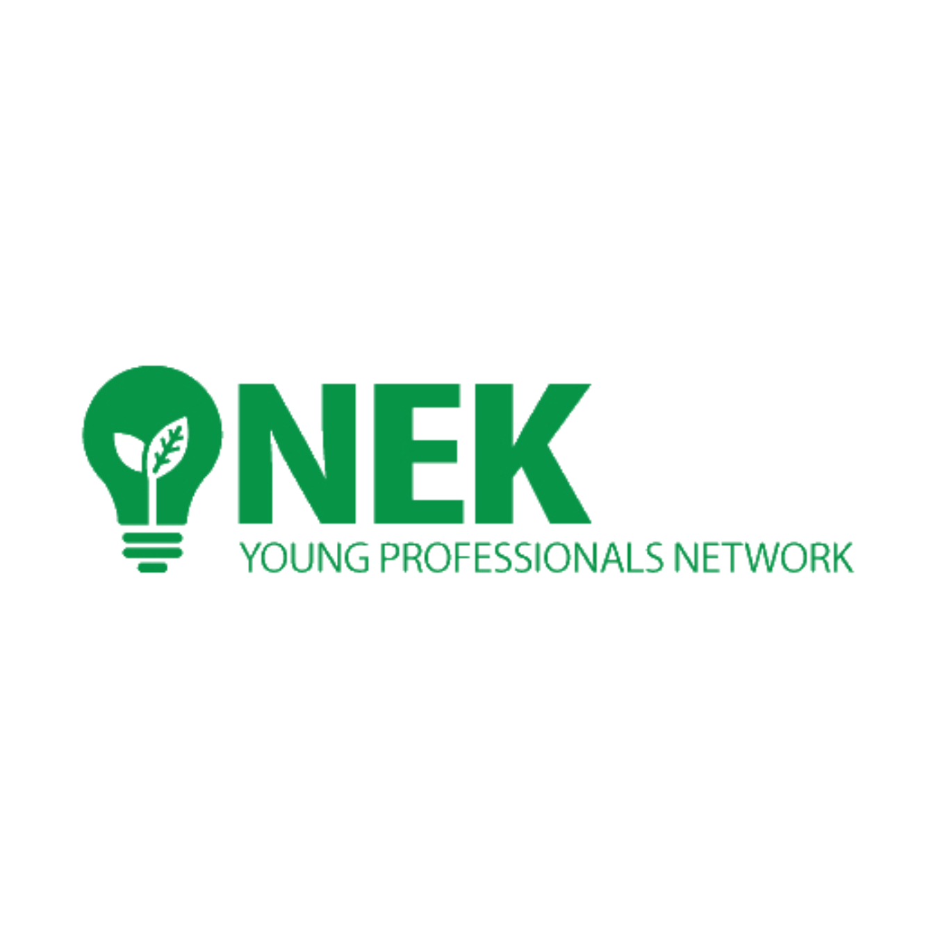 NEK Young Professionals Network