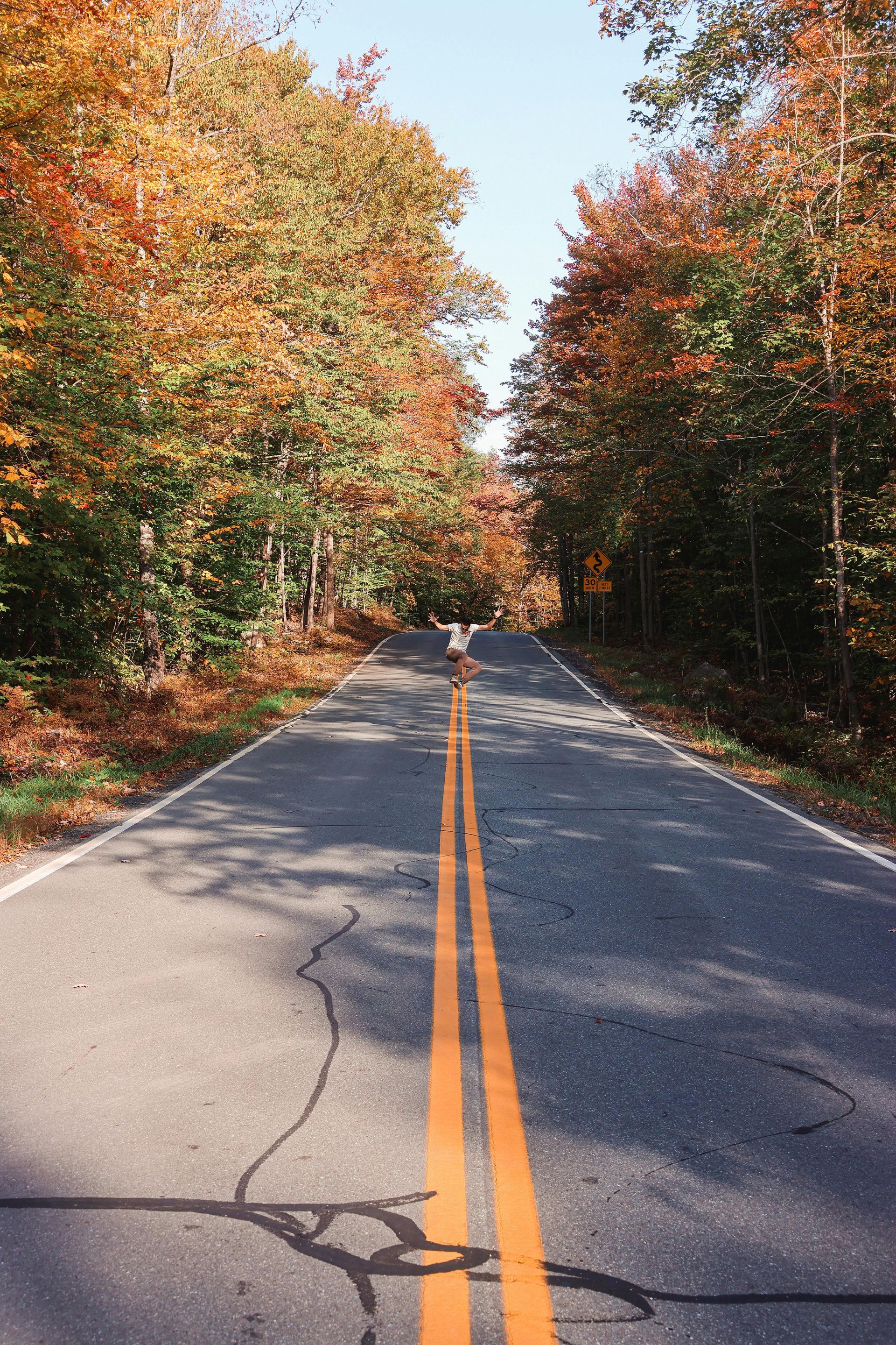 A person is walking down a road with trees on both sides