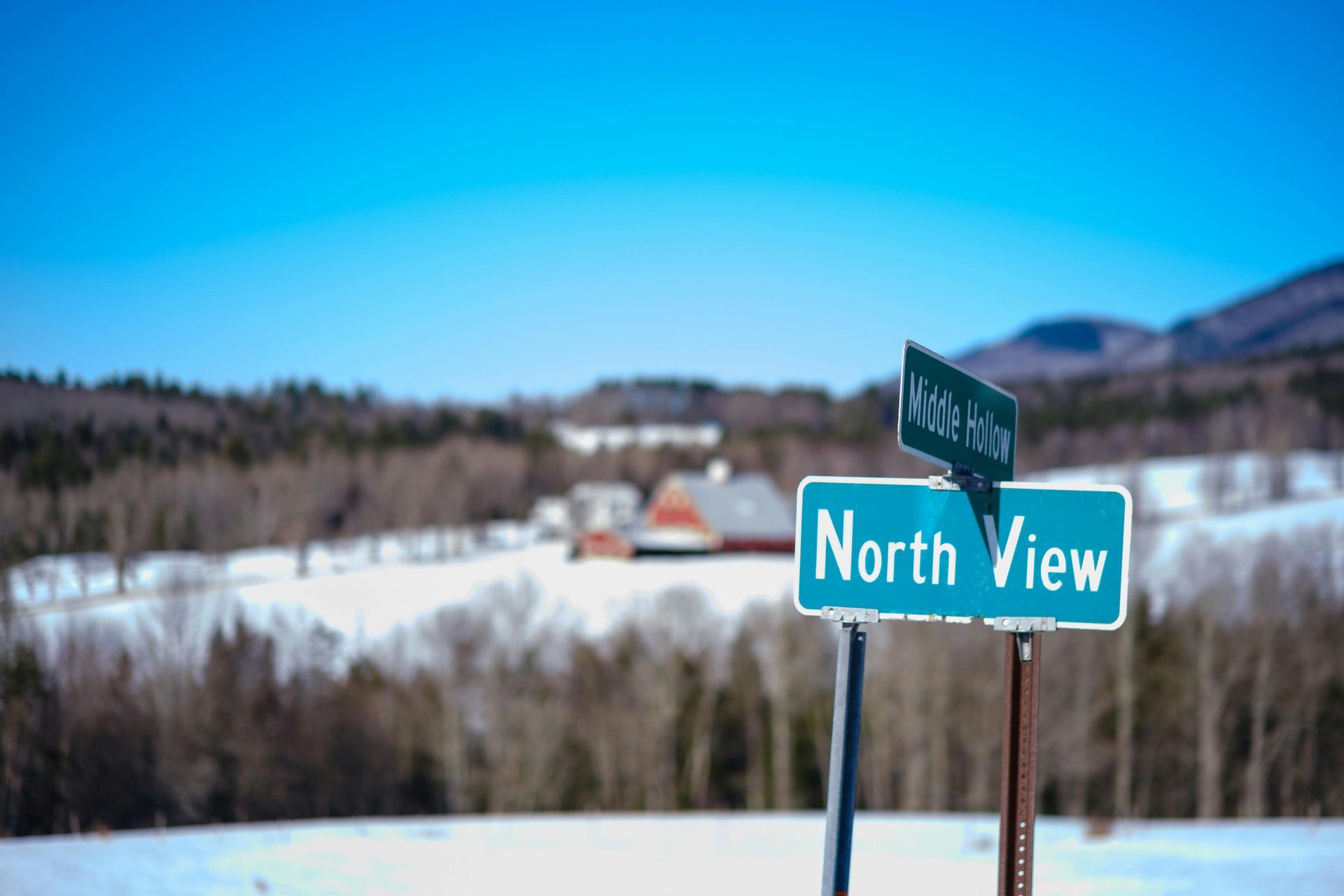 A street sign that says north view is in the middle of a snowy field.