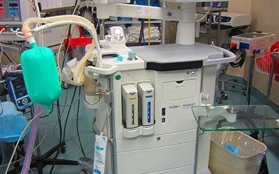 Anestesia e terapia del dolore per animali