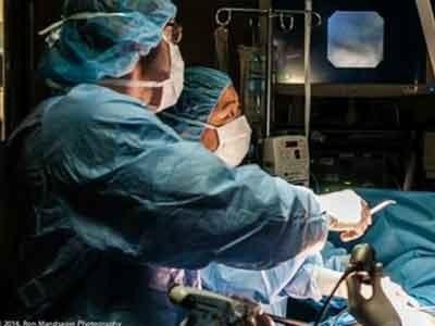 operazioni chirurgiche veterinarie