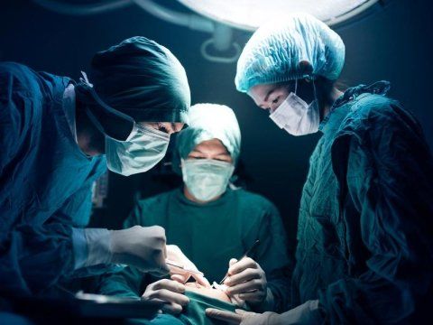 chirurgia endoscopica veterinaria chirurgia endoscopica veterinaria