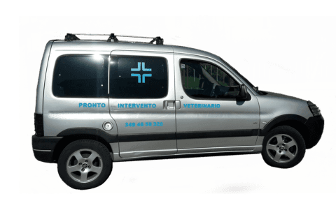 veterinario a domicilio