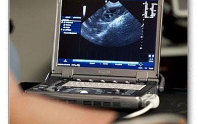 Esecuzione ecografia veterinaria