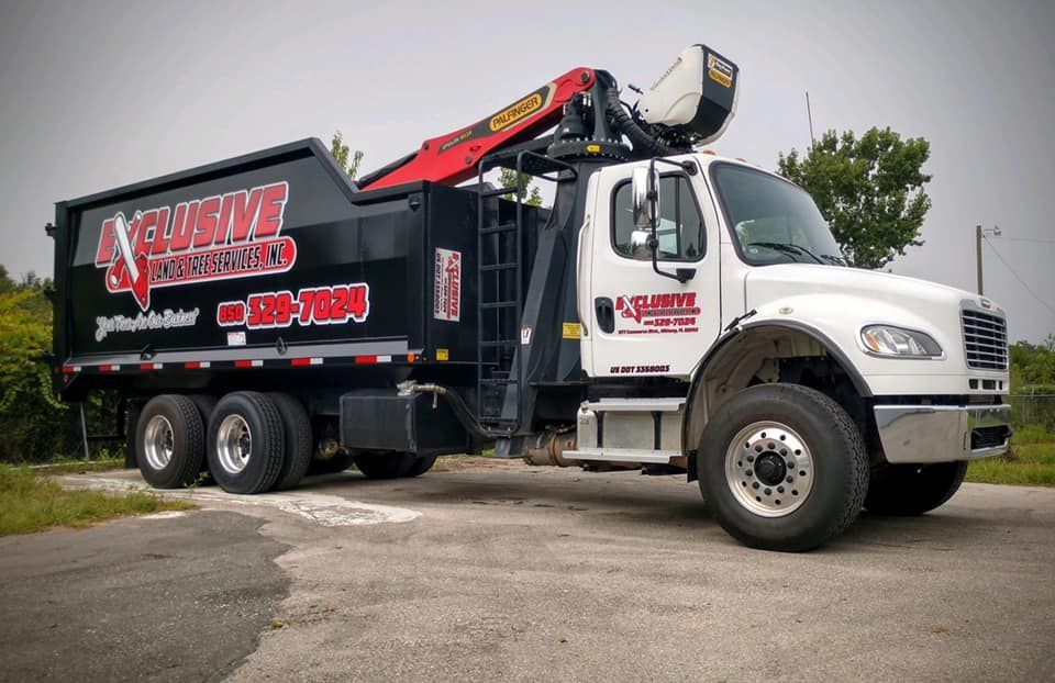 Tree Services Havana FL