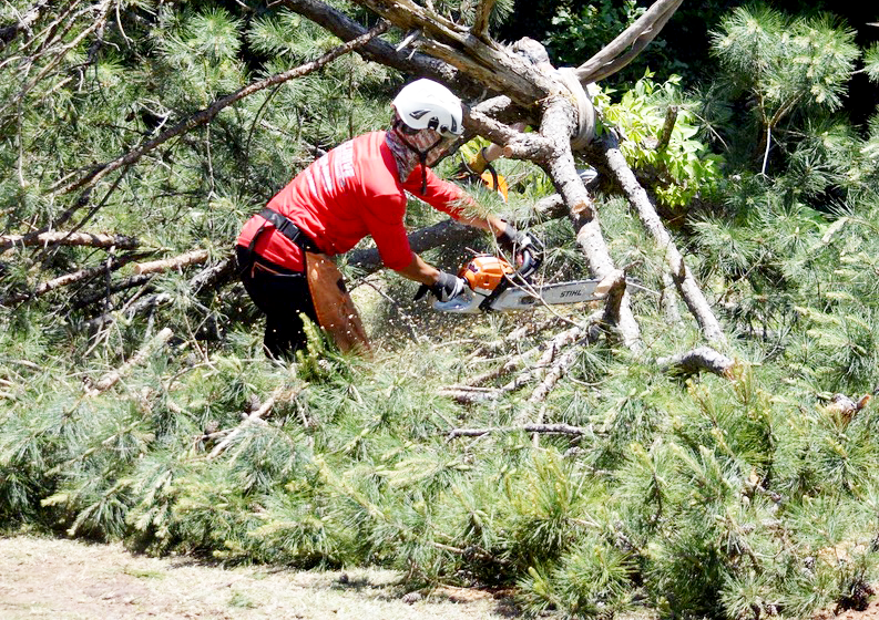 Exclusive Land and Tree Services gallery 9