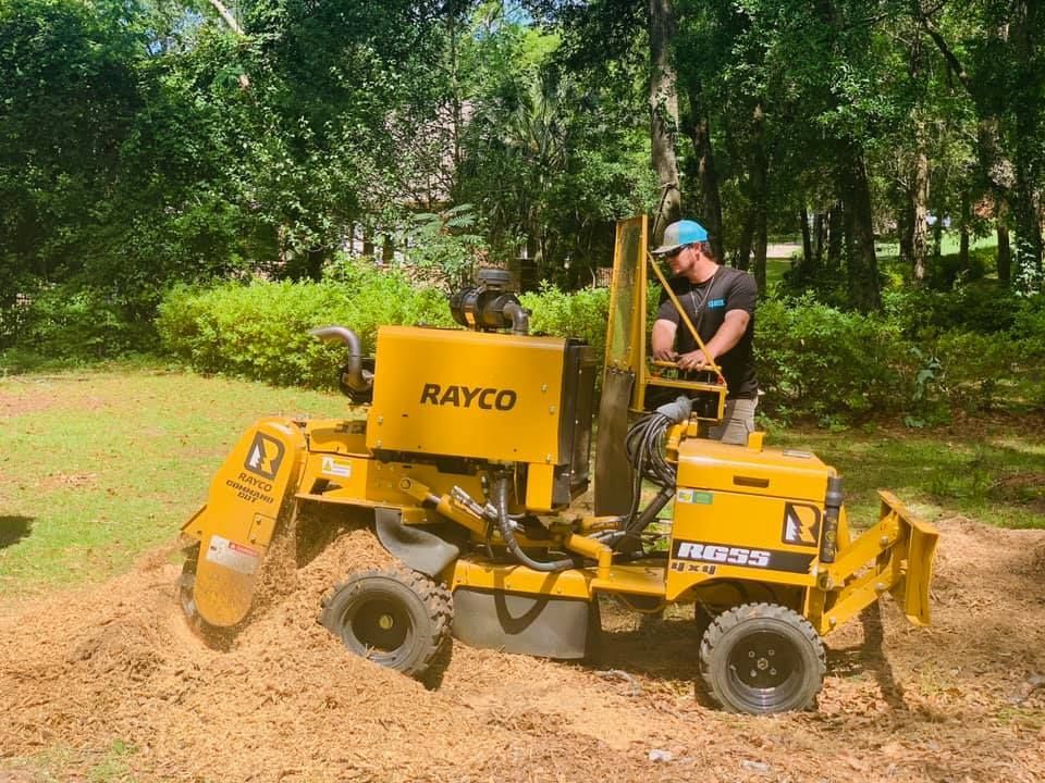 Tree Services Crawfordville FL