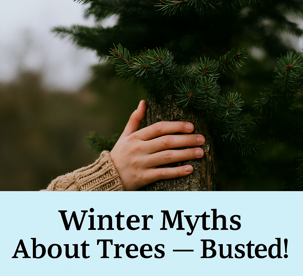 Placeholder image with simple mountain and sun graphic.