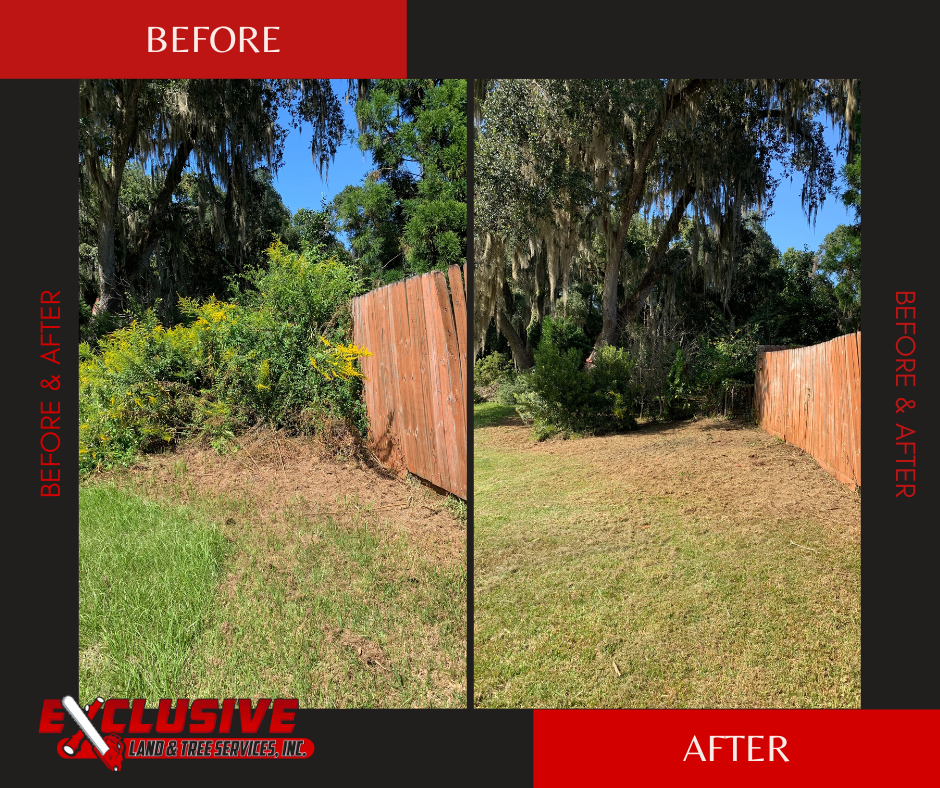Tree Services Havana FL