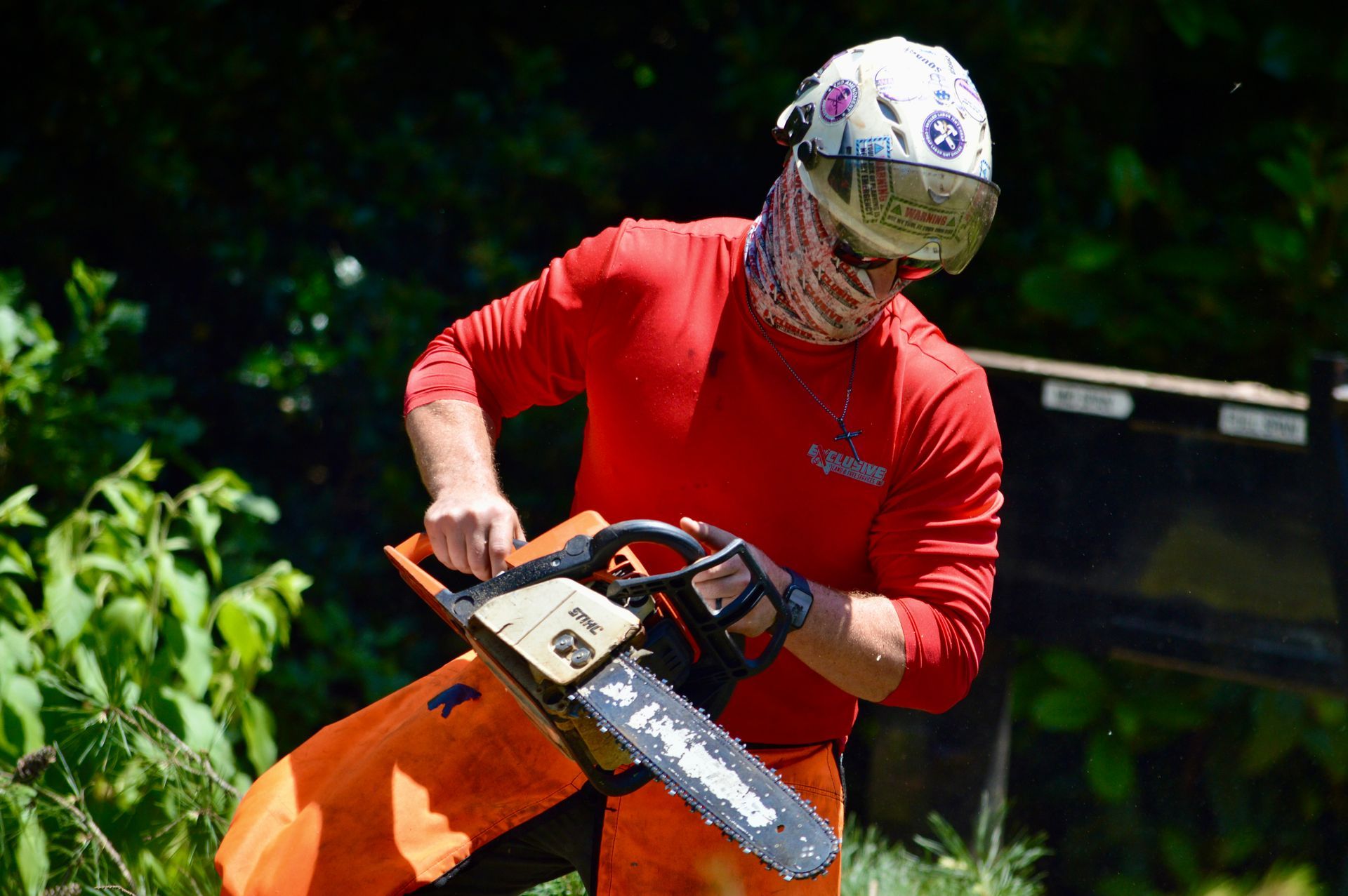 Tree Services Tallahassee FL