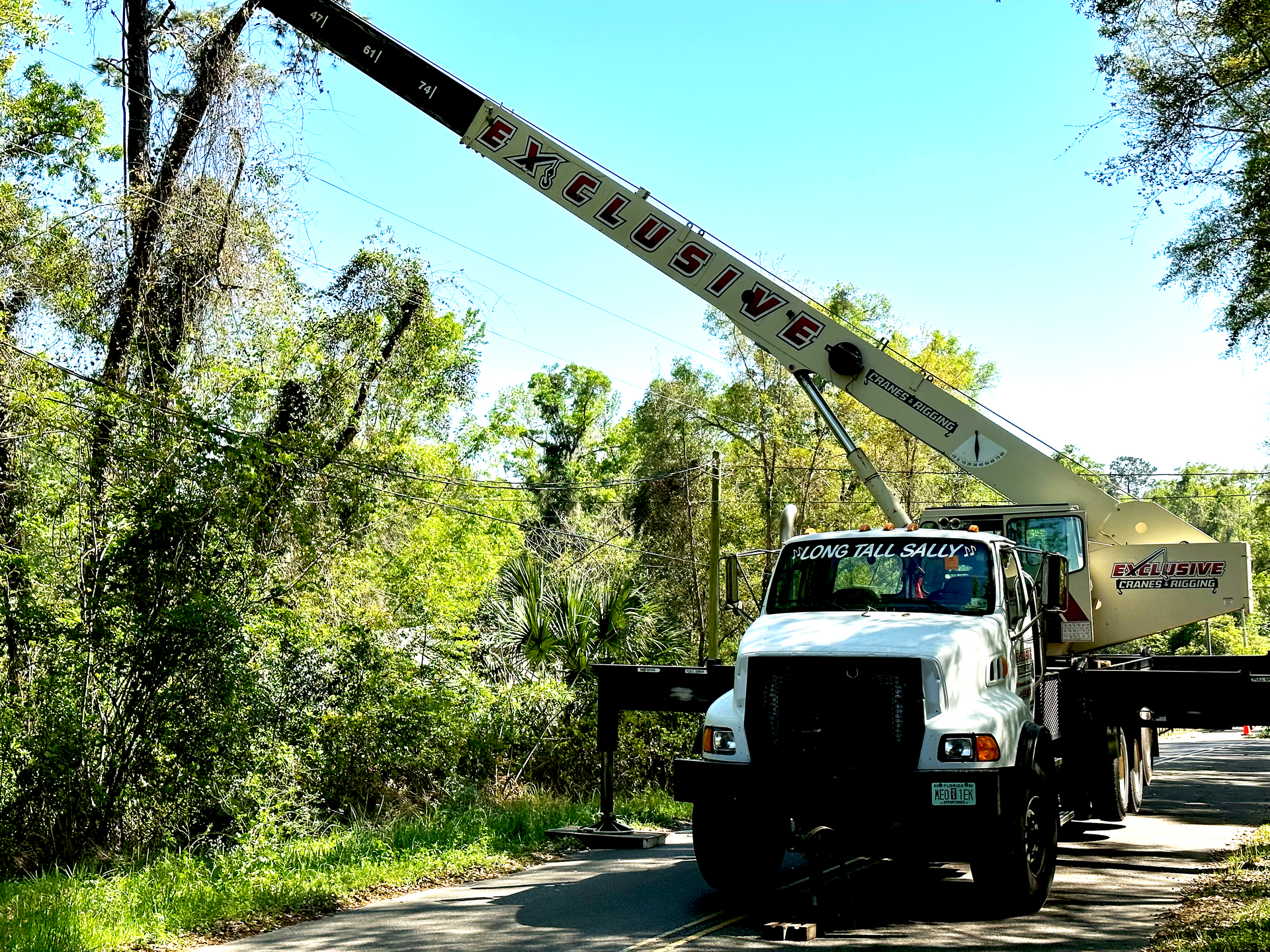 Tree Services Quincy FL