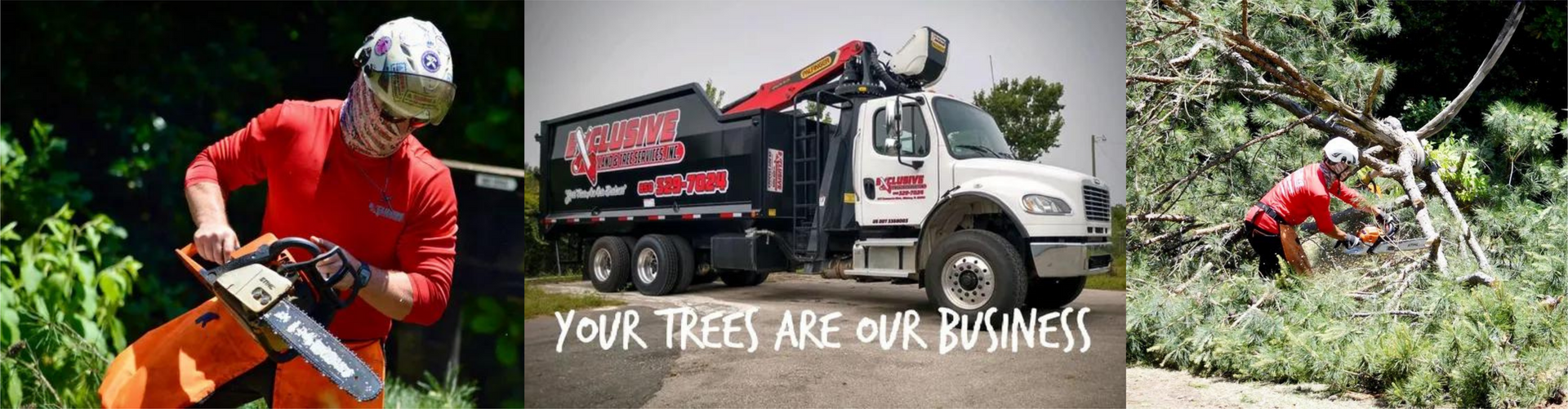 Exclusive Land and Tree Services gallery 8