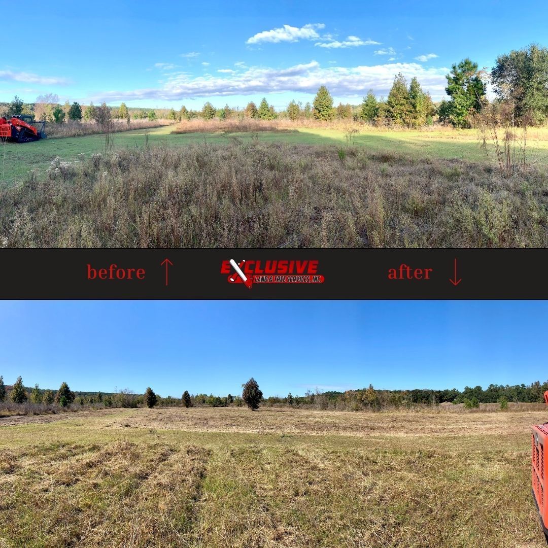 Before and after views of land clearing.  Grass is removed, leaving a cleared field. Sky and trees in background.