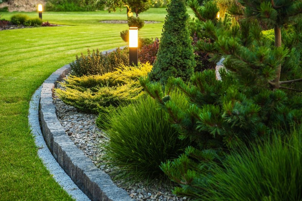 A lush green garden with trees and bushes and a stone curb.