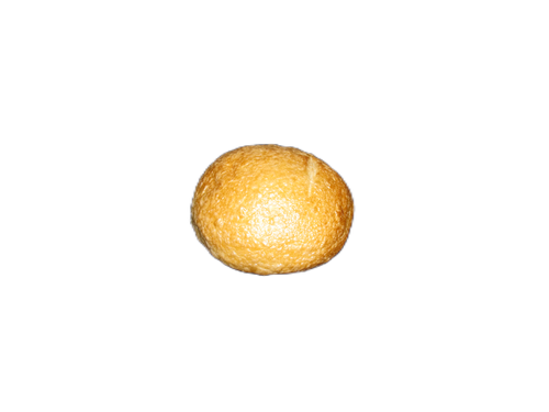 A close up of a bread roll on a white background