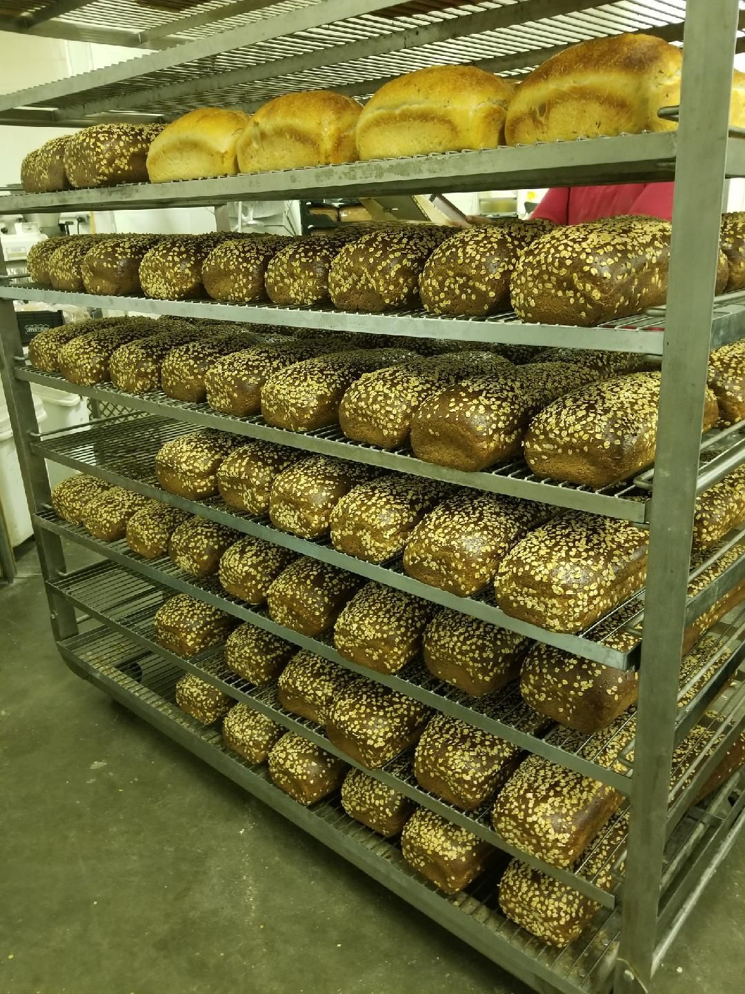 A bunch of bread is sitting on a rack in a bakery.