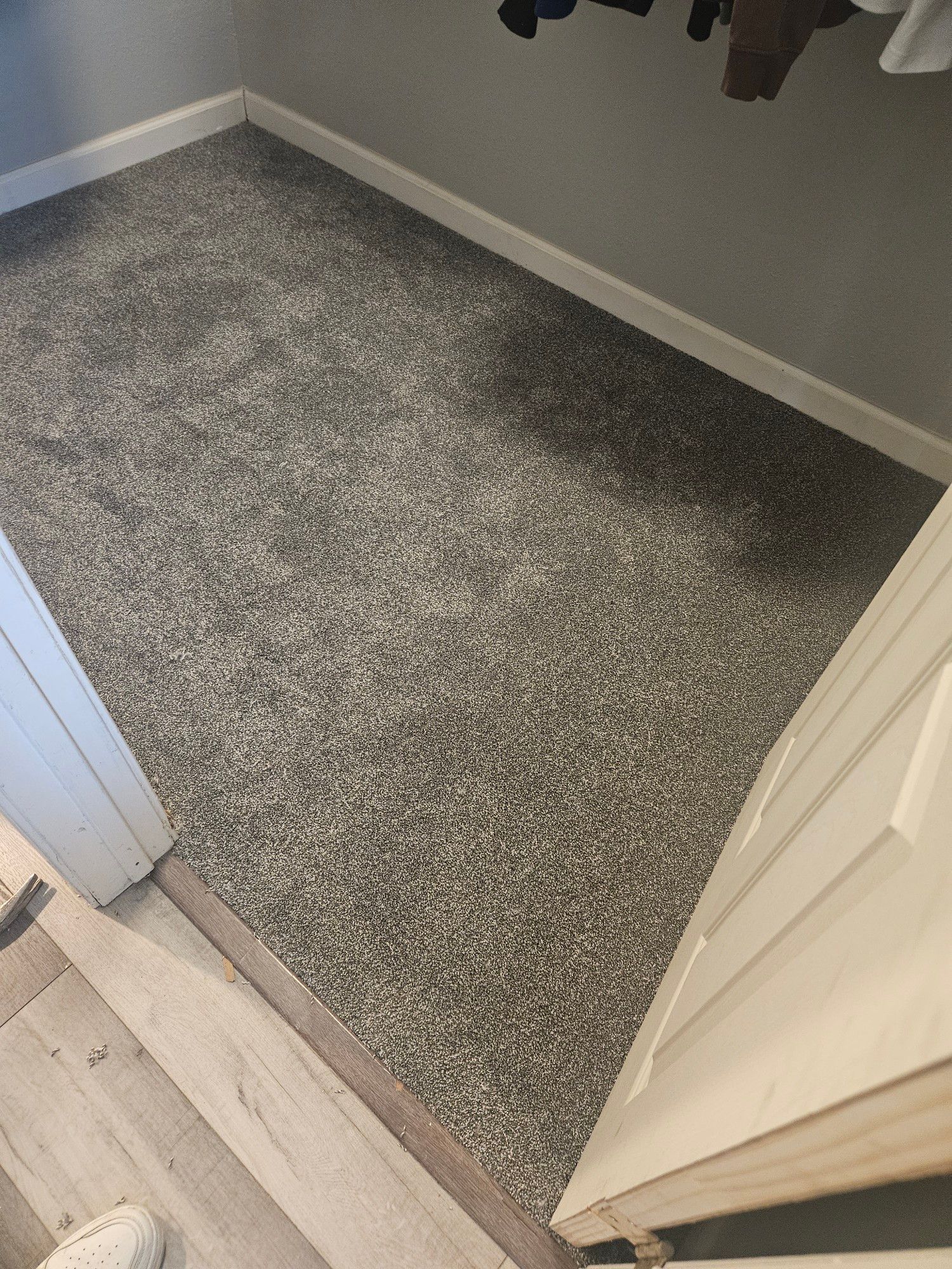 A gray carpeted floor in a closet next to a door.