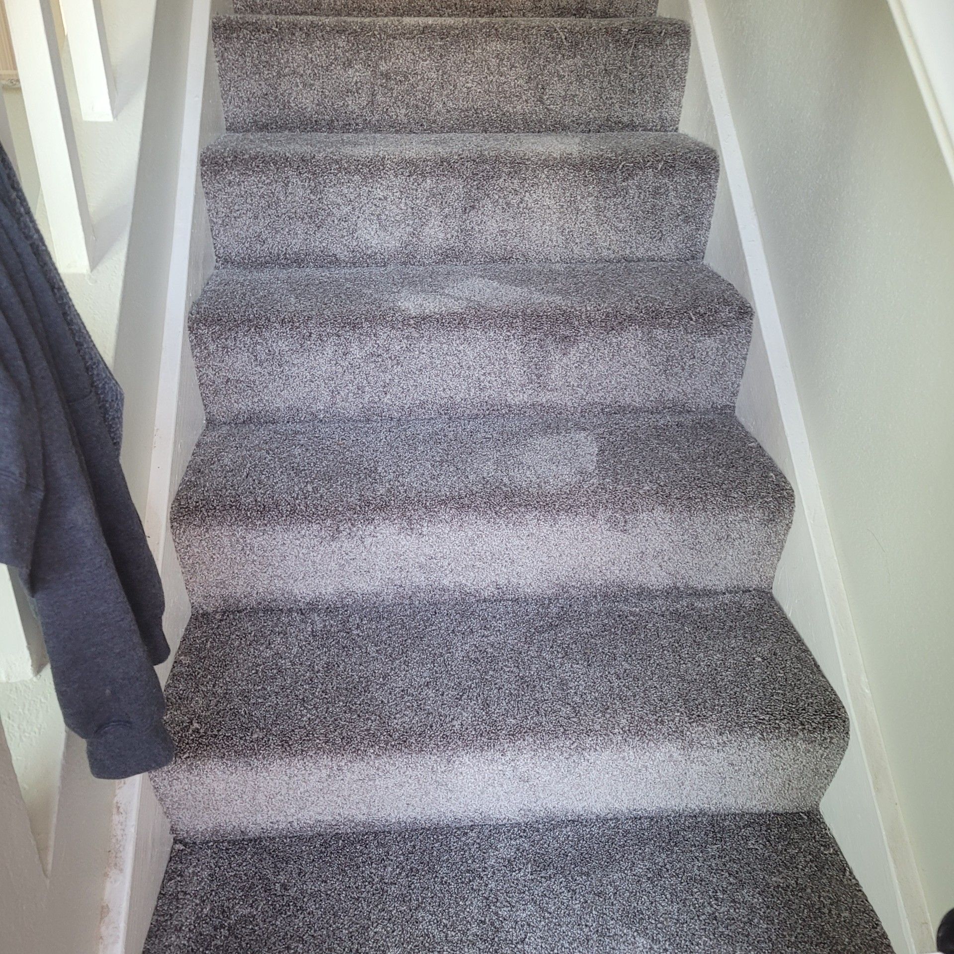 A set of stairs with a gray carpet on them.