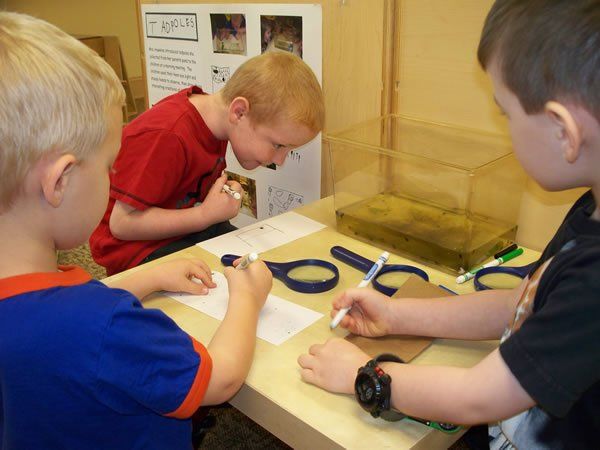 A group of young boys are sitting at a table playing with scissors