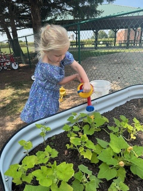 watering garden plants
