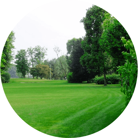 Prato verde