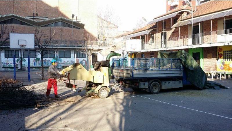 Potatura e condominio