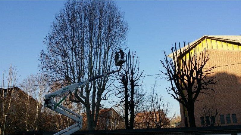 Piattaforma semovente