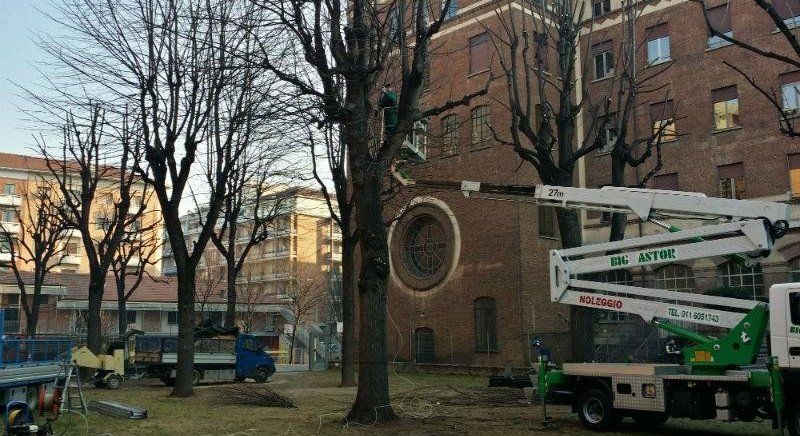 Alberi davanti a chiesa