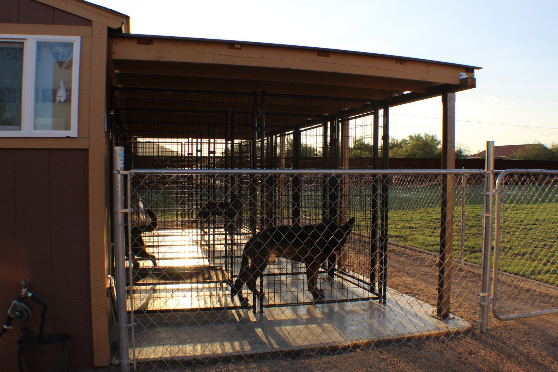 Levels K9 North Phoenix Dog Training Facility