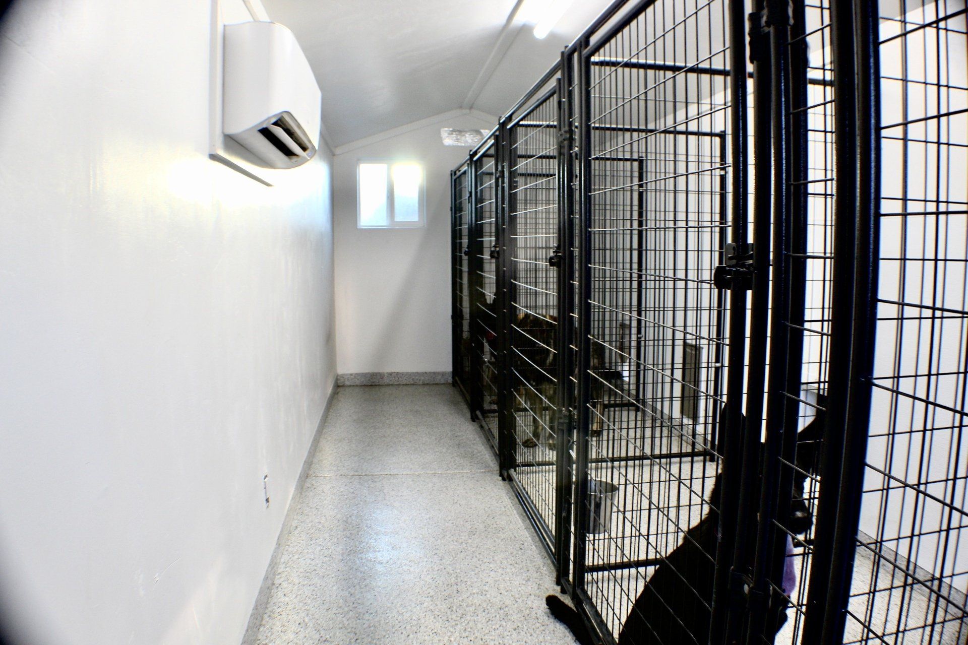 Levels K9 North Phoenix Dog Training Facility