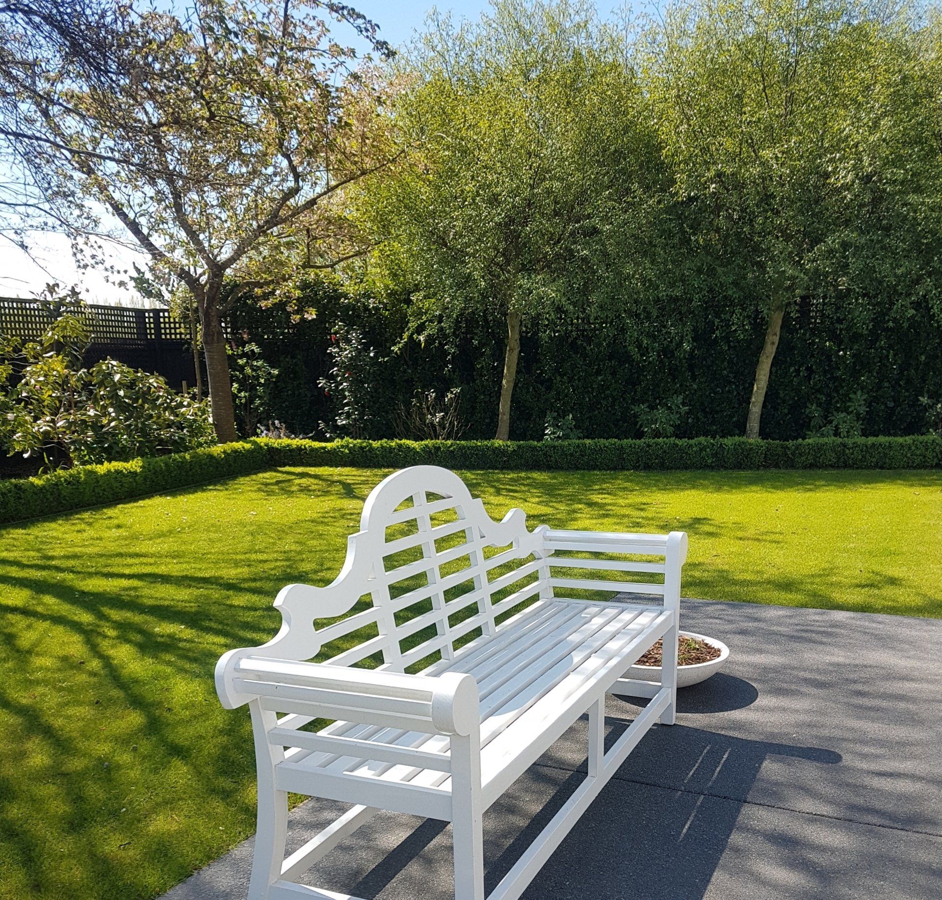 A white bench sits in the middle of a lush green garden