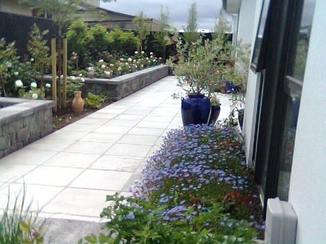 A walkway with potted plants on the side of it