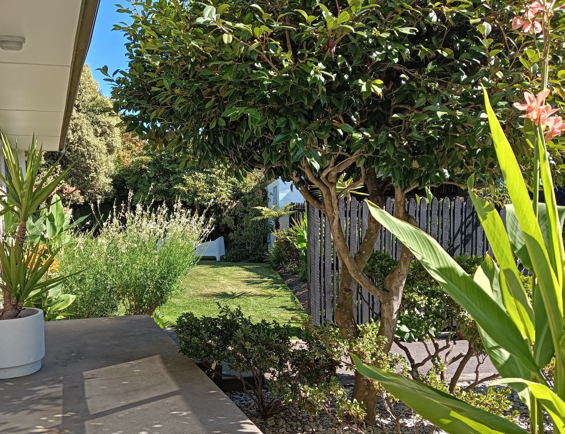 A potted plant sits on a porch next to a tree