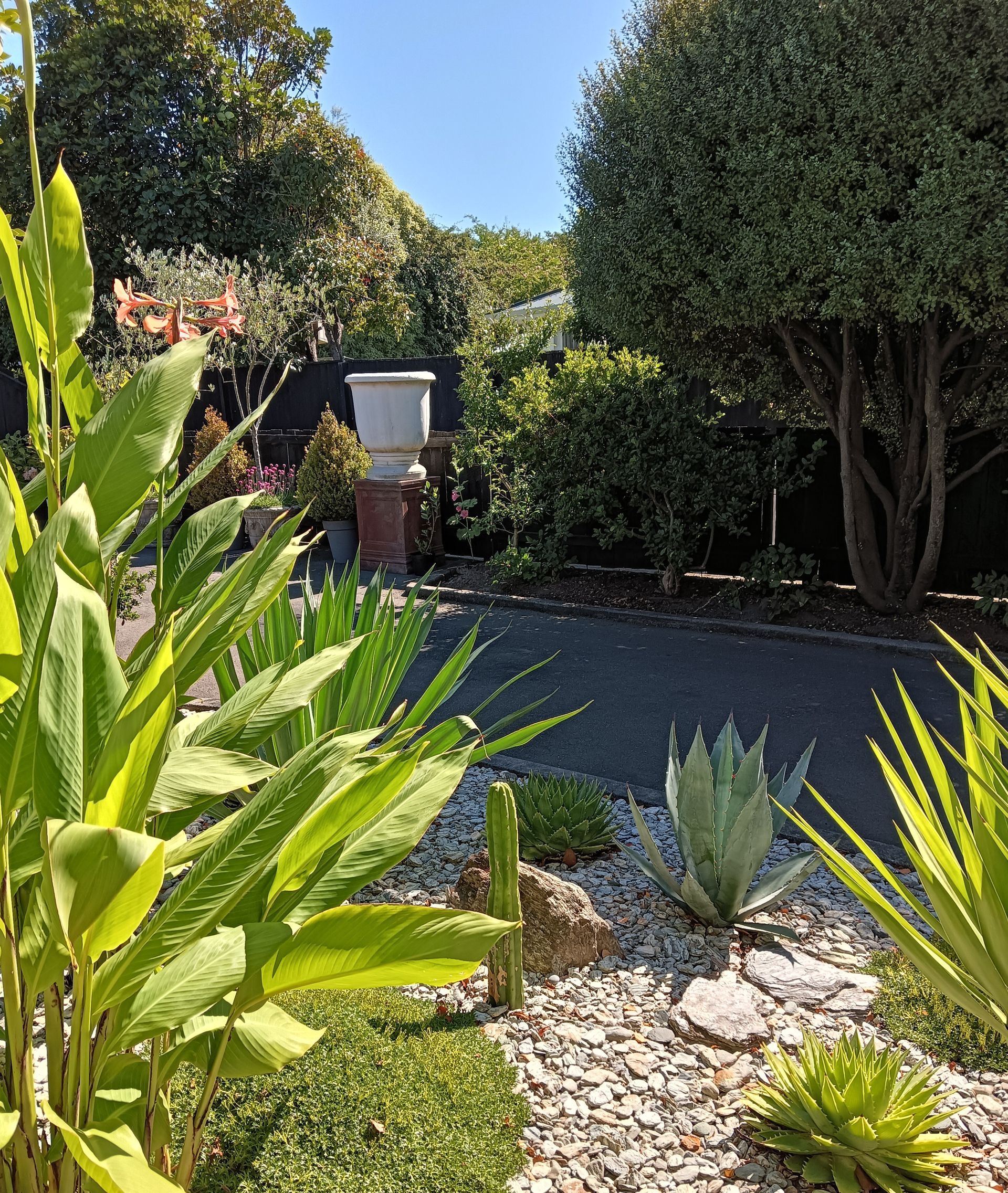 A garden with lots of plants and rocks on a sunny day