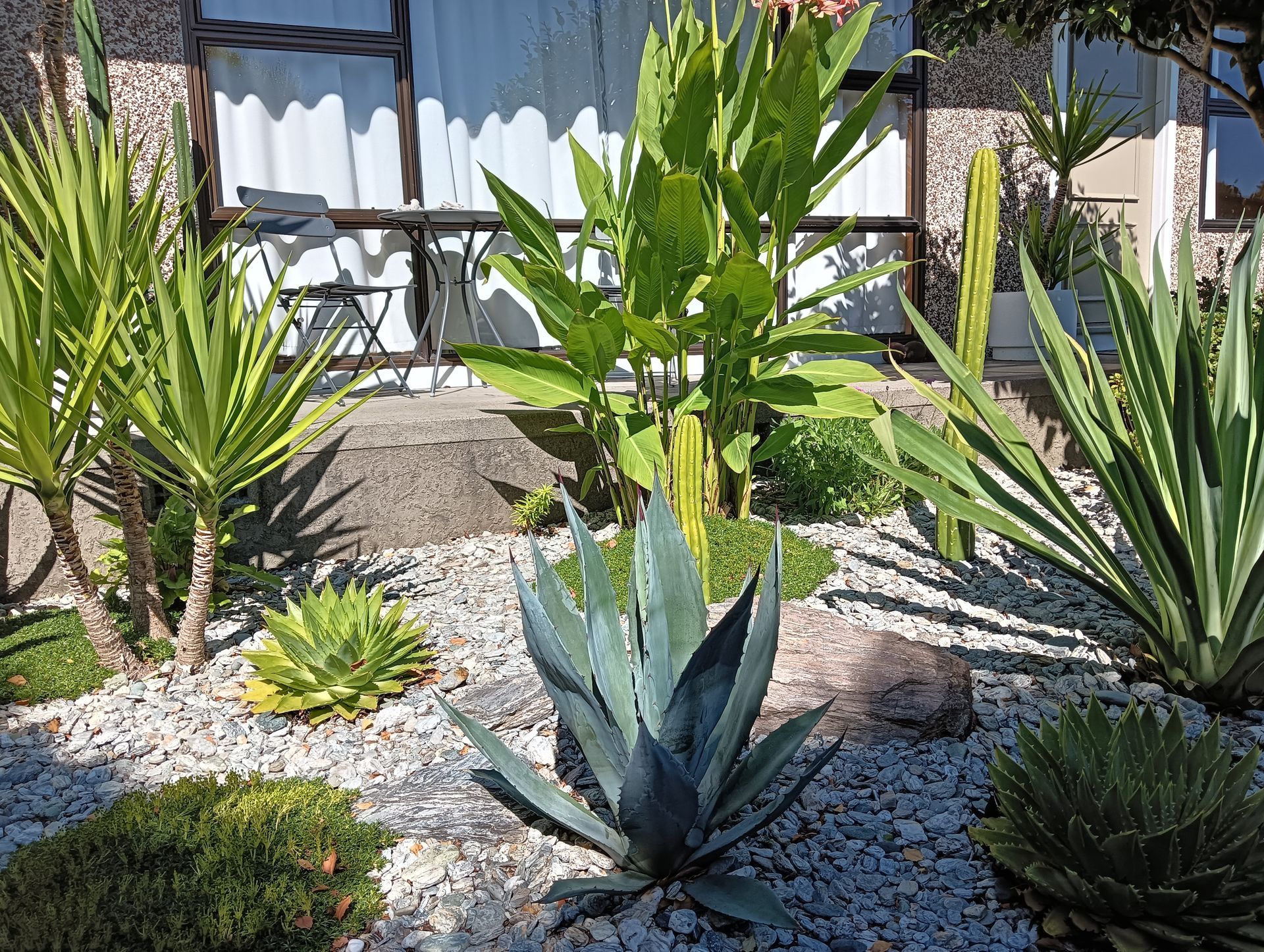 A garden with a lot of plants and rocks in front of a building