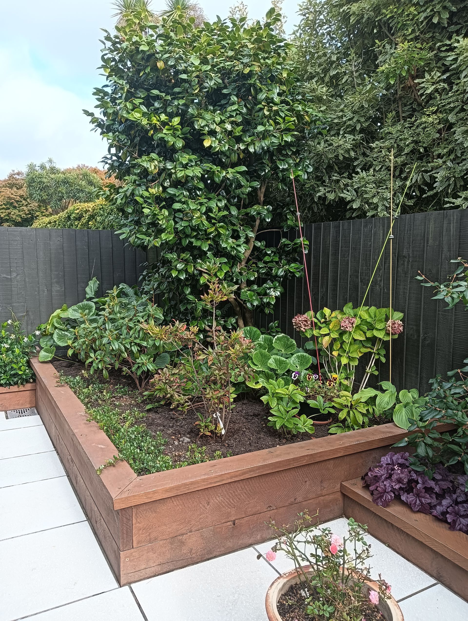 A garden with lots of plants and a fence in the background